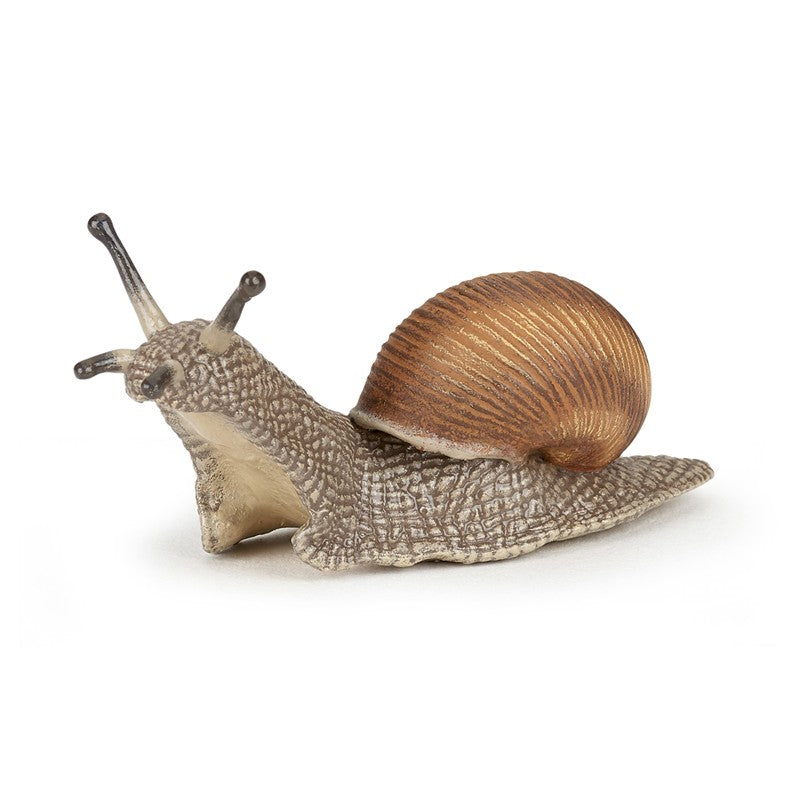 Caracol