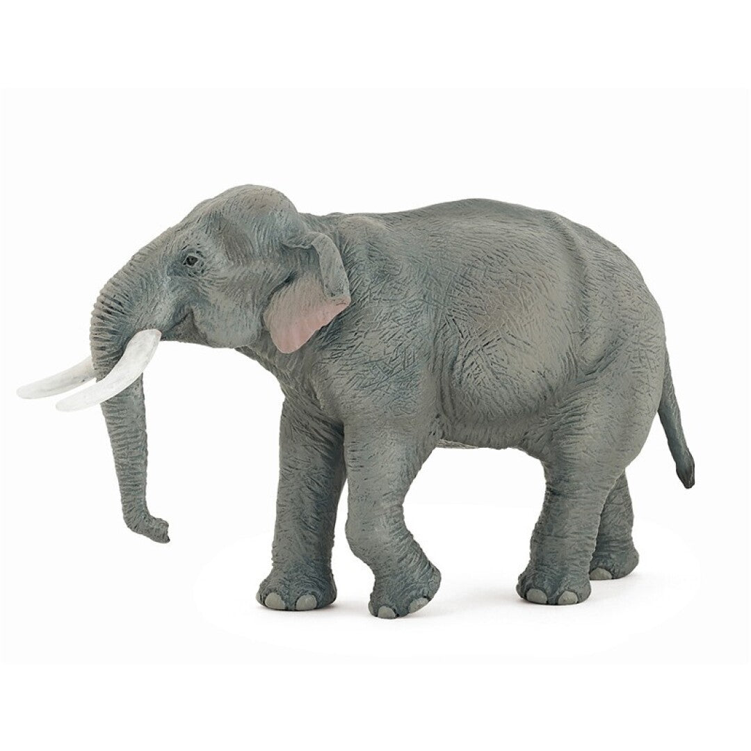 Elefante asiatico