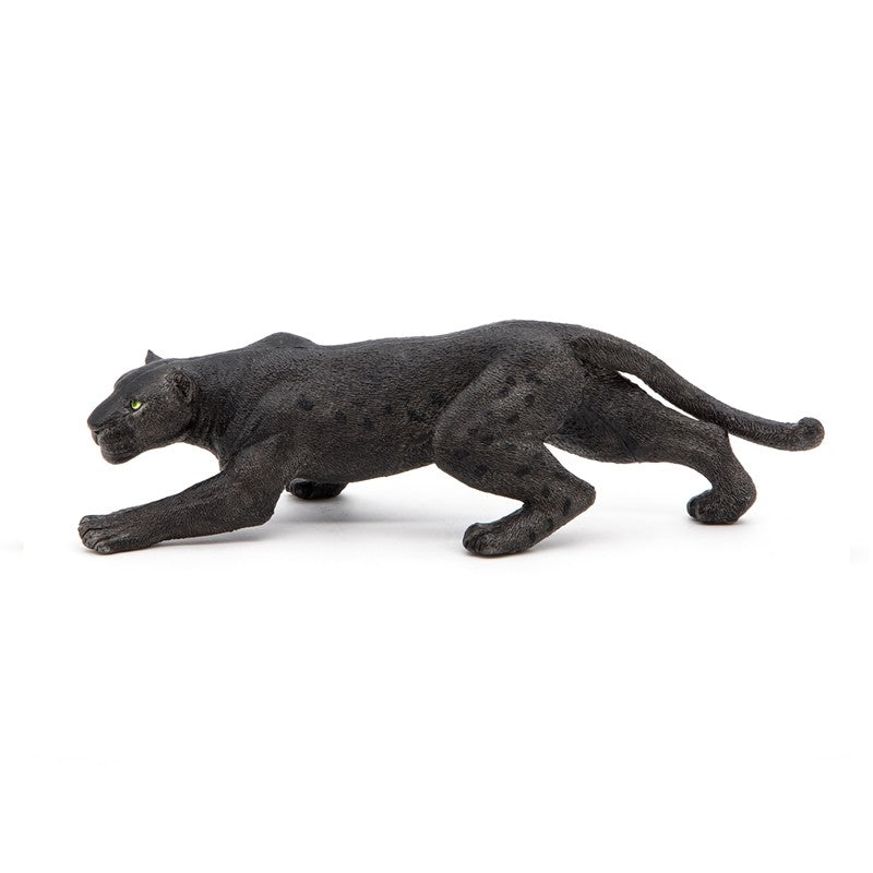 Leopardo  negro