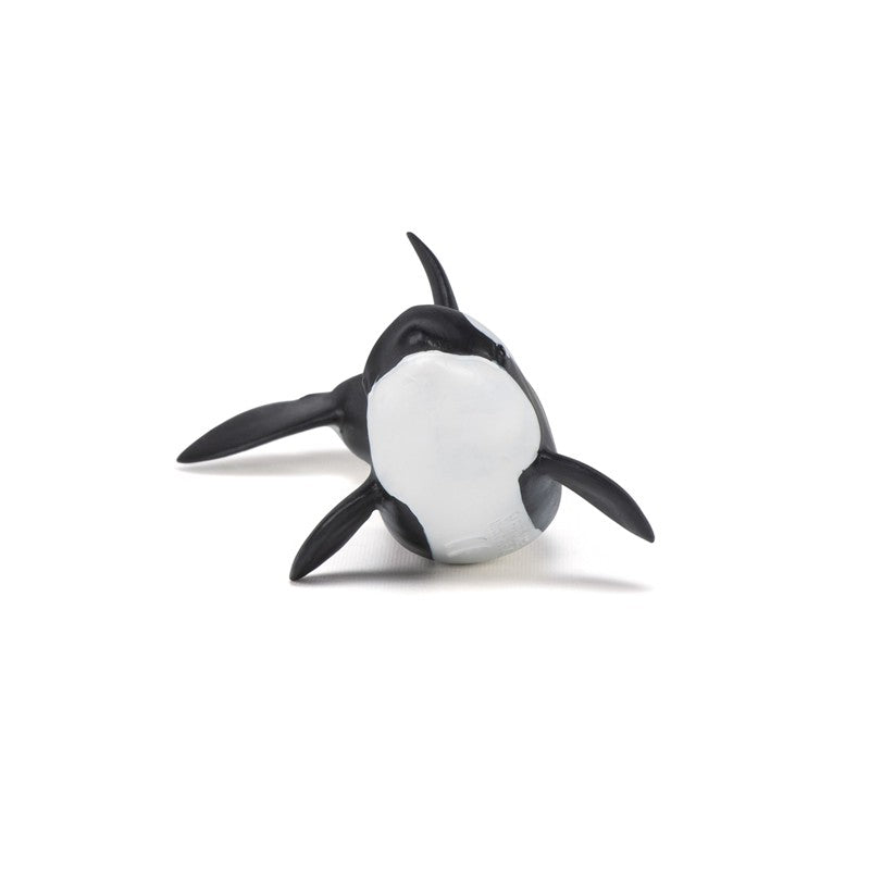 Bebe Orca