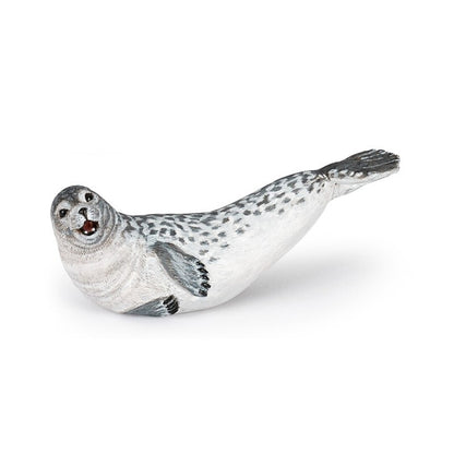 Foca