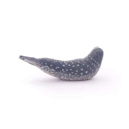 Foca