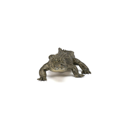 Cocodrilo