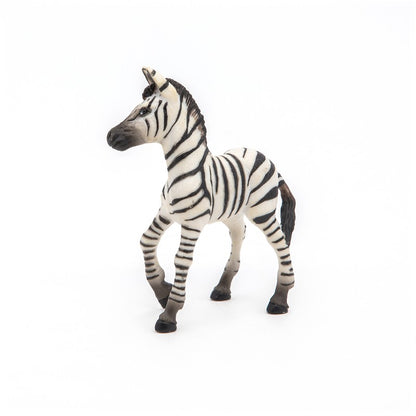 Cria de Cebra