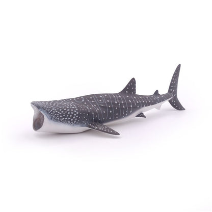 Tiburón Ballena