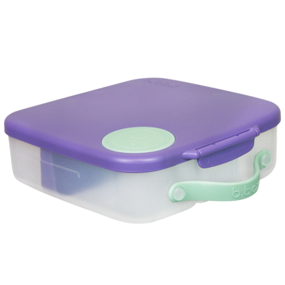 Big Lunch Box Lila