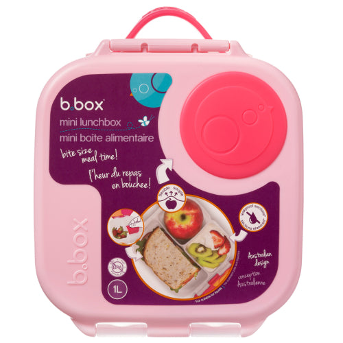 Lunch Box Fuscia