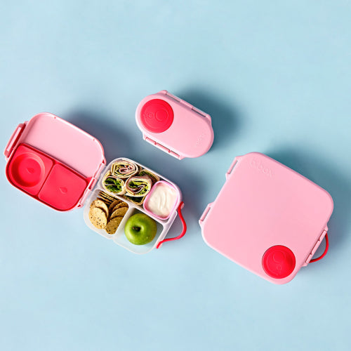Mini Lunch Box Fuscia