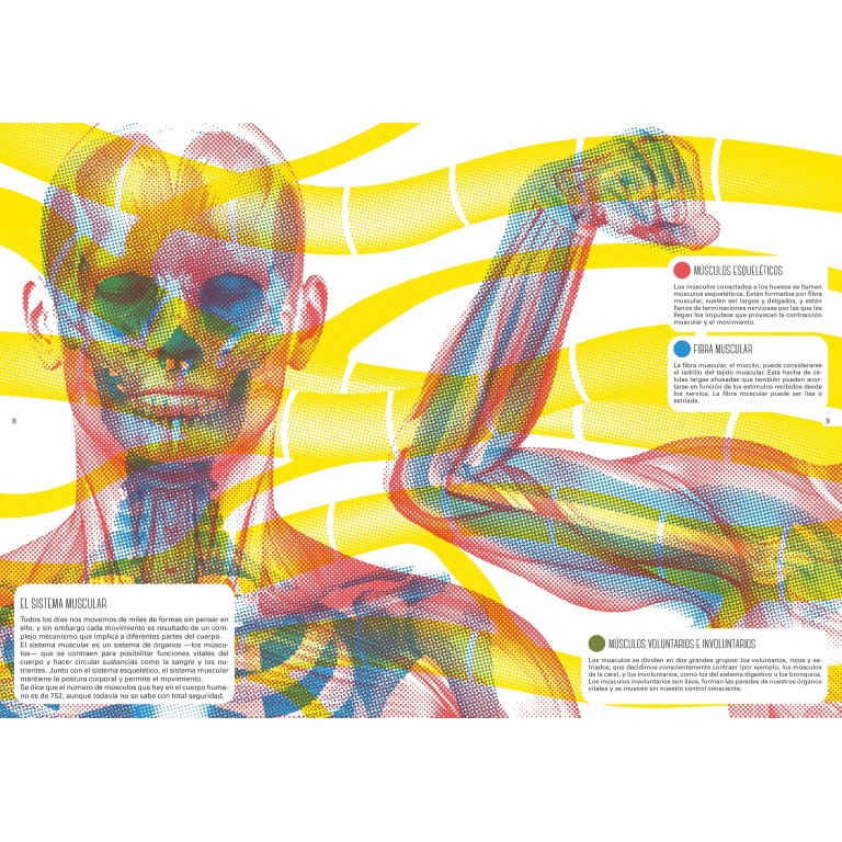 Libros con lentes. El cuerpo humano